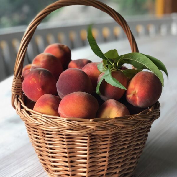 Golden Peach Premium Box