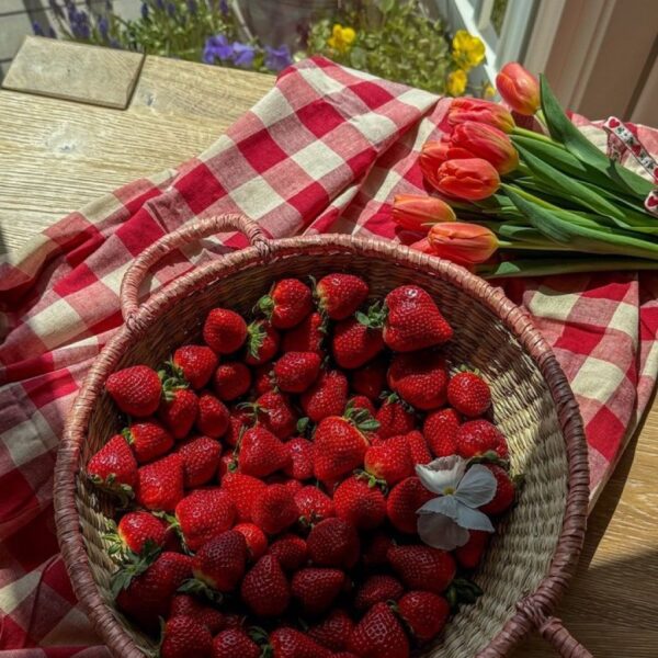 Luxury Strawberry Gift Basket