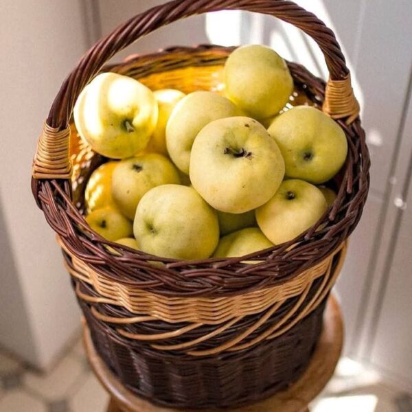 Premium Fresh Apple Basket – 1 KG