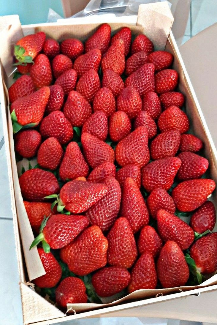 Premium Fresh Strawberry Basket – 2 KG
