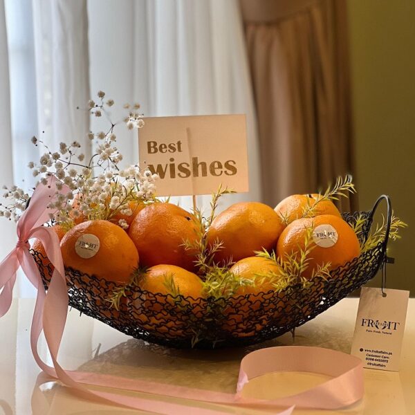 Premium Juicy Oranges